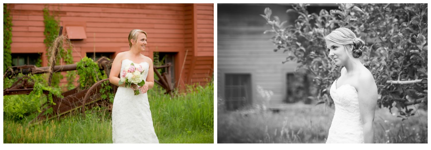Rustic New England Wedding Photography at QuonQuont Farm Bridal Portraits