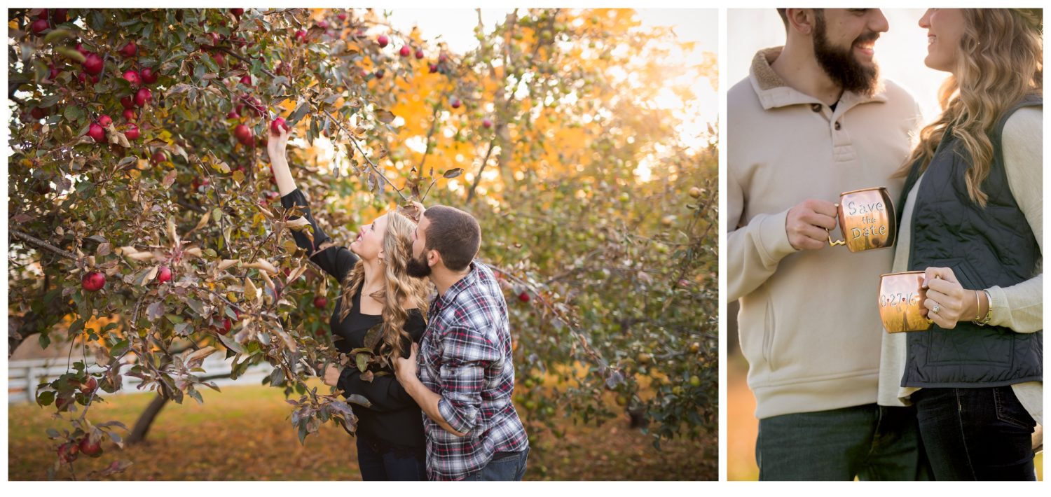 Canterbury Village engagement session Fall- Orchard