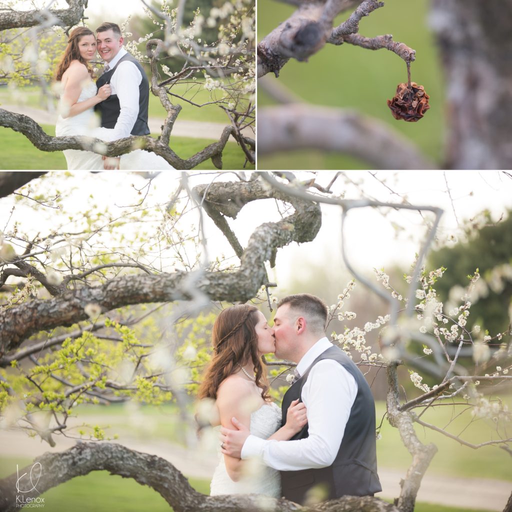 Walpole Wedding Photography | K. Lenox | Apple Blossom