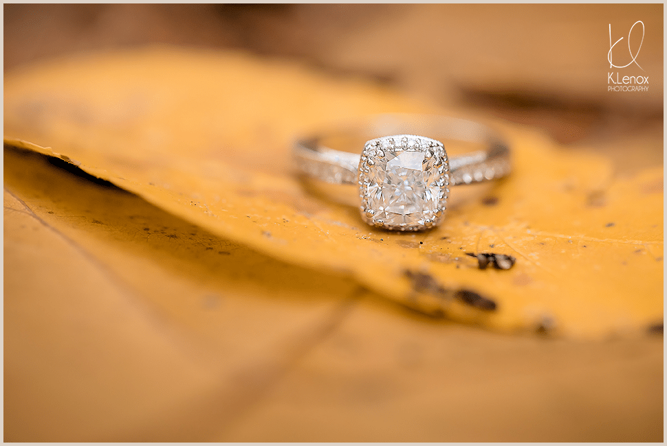 hanover-engagement-session-fall-ring