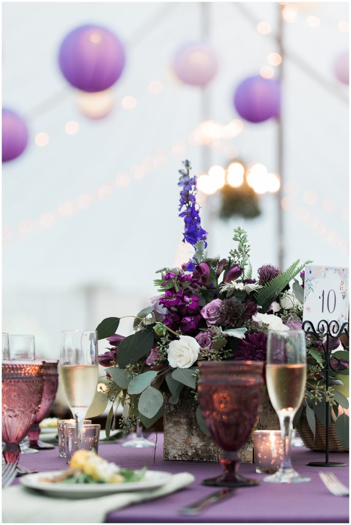 Sarah and Matt's LakeFalls Lodge Wedding Stoddard NH