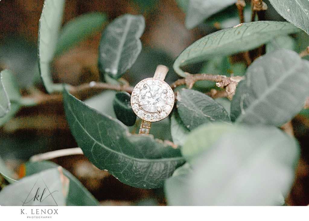 Diamond and Gold engagement ring.  Diamond Halo with gold band. 