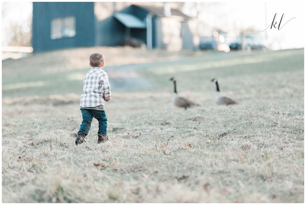 Fun Family Photos- little boy chasing Geese