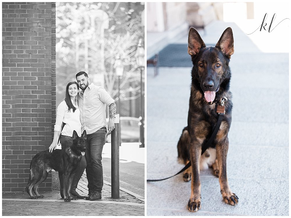 Engagement Photo taken with the man and woman's pet German Shepherd. 