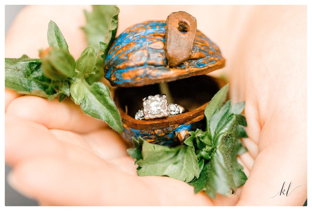 Photo of a diamond engagement ring in a little walnut shell