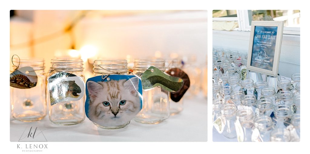 Customized Mason Jar mugs with pictures of cats and dinosaur tags. 
