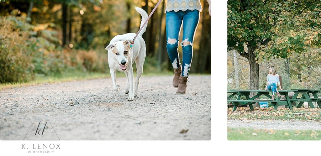White Dog being walked by a girl wearing ripped blue jeans. 