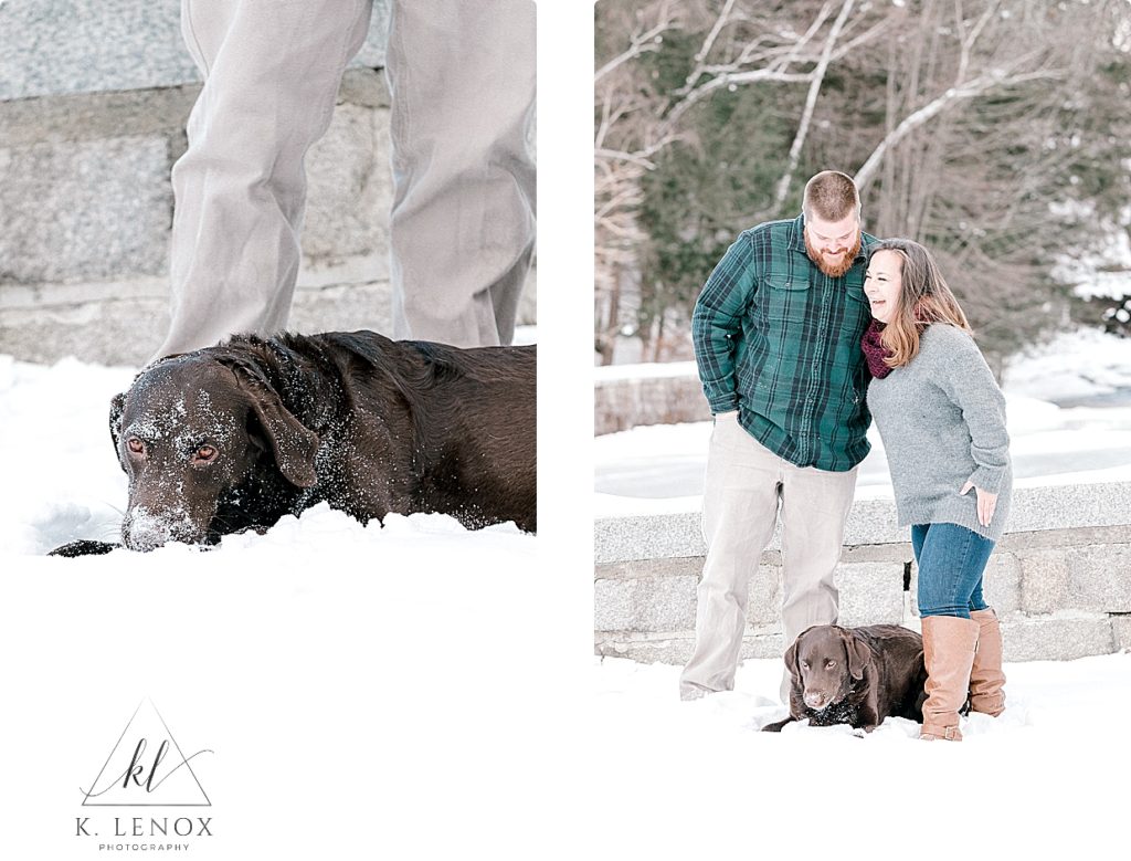 Winter engagement session in Peterborough NH with a chocolate lab playing in the snow. 