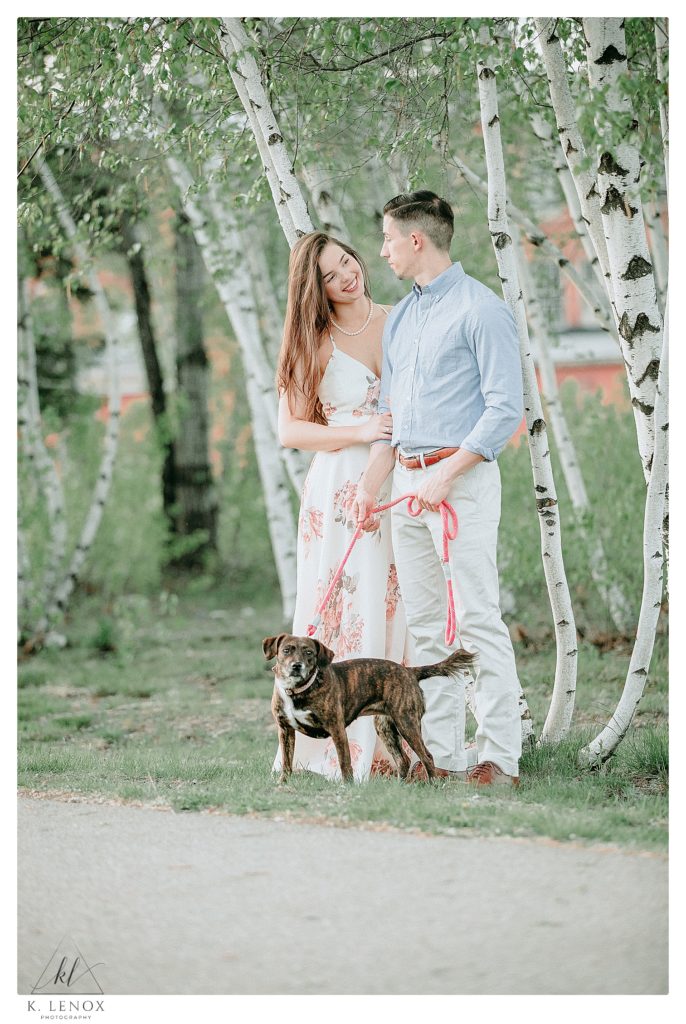 Man and Woman walk their small dog next to white birch trees during their spring engagement session in Keene NH. 