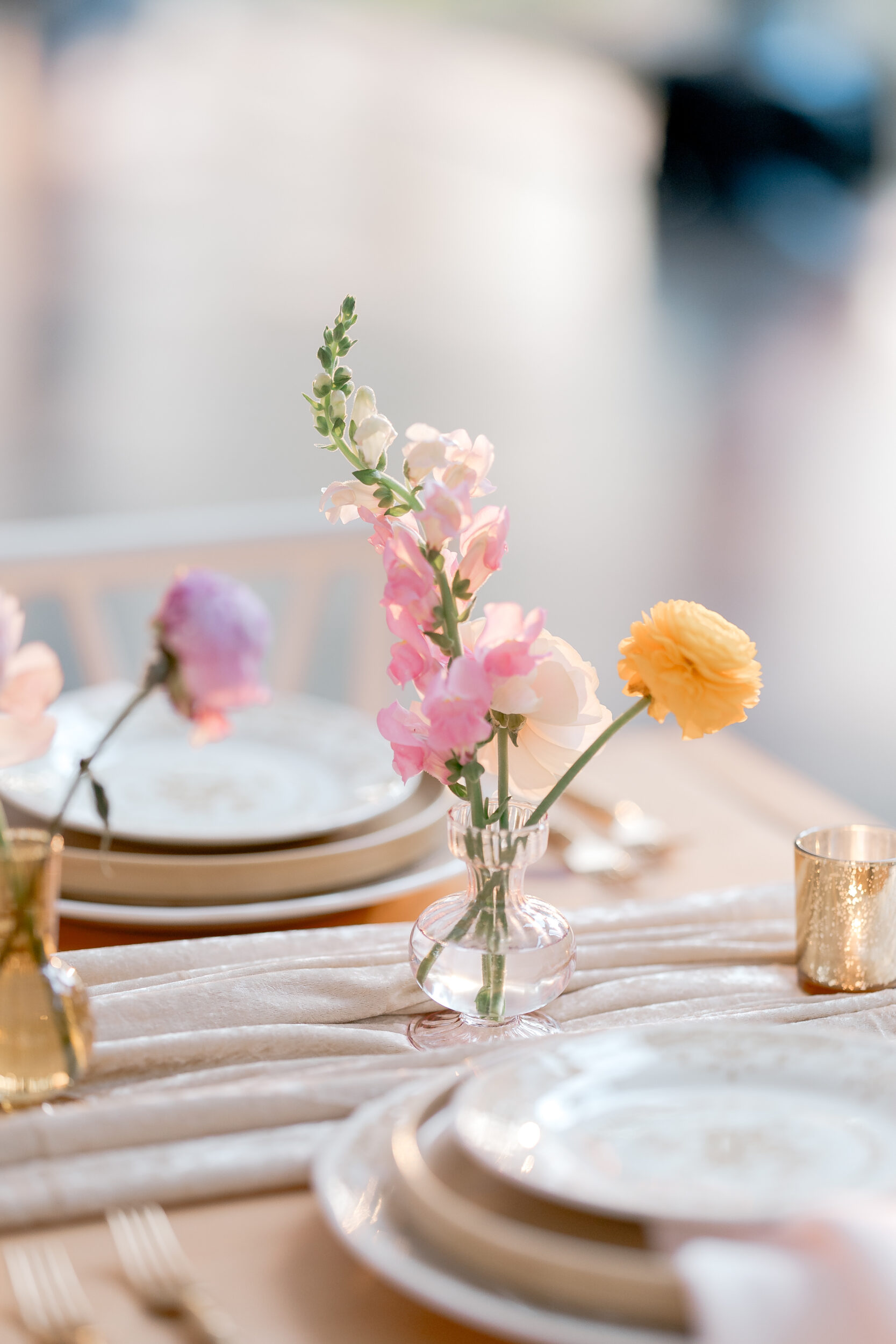 Stone Garden Soirée